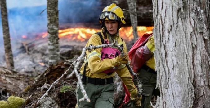El fuego ya consumió unas 1.500 hectáreas en Bariloche