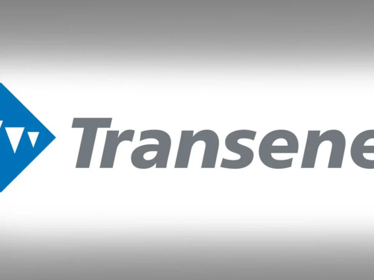 Privatizaciones en el sector de la energía: quieren vender Transener
