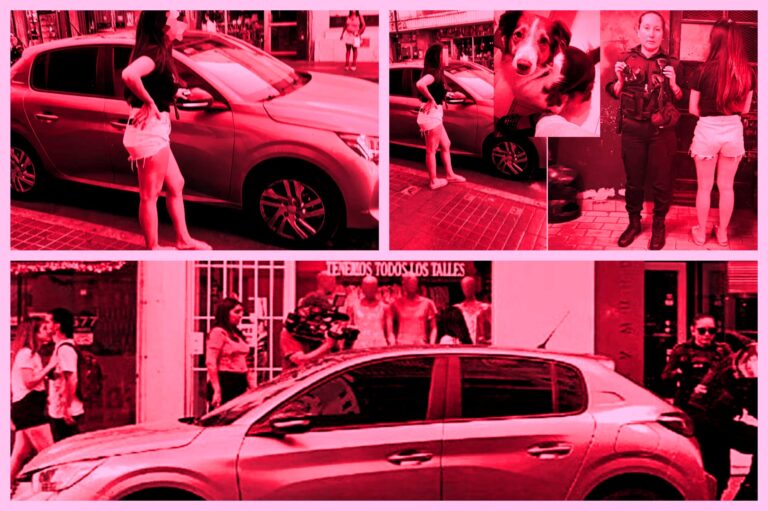 Un perro muerto encerrado en un auto: el reinado de la irresponsabilidad, el no te metás y el odio en las redes sociales