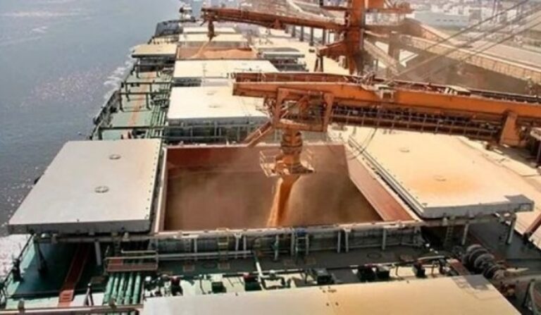 Las exportaciones del complejo soja está en máximos de cinco años