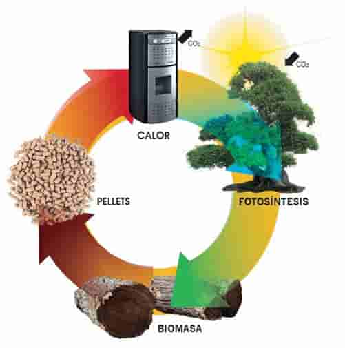 La revolución de la energía biomásica y su potencial en la sostenibilidad energética.