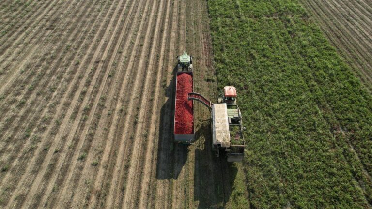 Tras los reclamos de las provincias y el campo, presentan proyecto para eliminar las retenciones