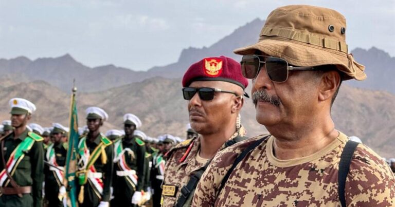 El Ejército de Sudán anuncia la liberación de la capital del estado de Sennar