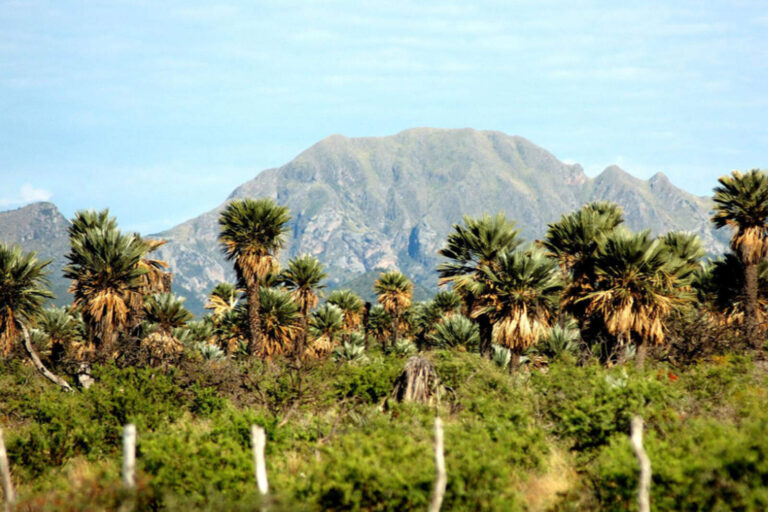 Tres reservas naturales en Córdoba para disfrutar en Semana Santa