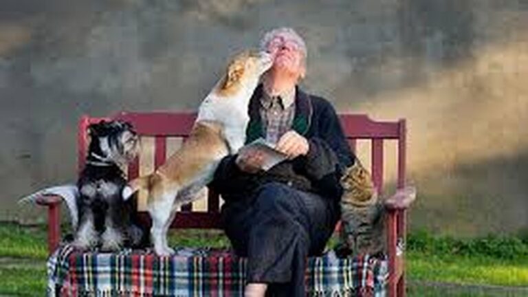 Este adorable documental sobre nuestras mascotas llegará a Disney+ en abril 2025