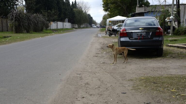 Pedirán 25 años de cárcel para una mujer que instigó un homicidio en 2015