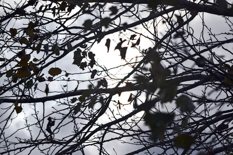 Jueves con lloviznas en la mañana, luego con cielo mayormente nublado