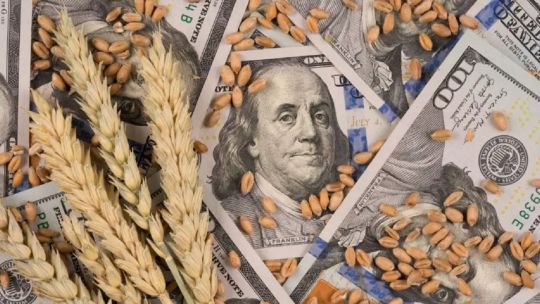 El efecto disruptivo de las retenciones: Más de USD 200.000 millones se fugaron del interior productivo