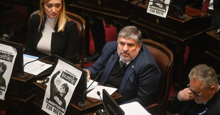 Los proyectos que impulsa el peronismo en el Senado para complicar a Milei