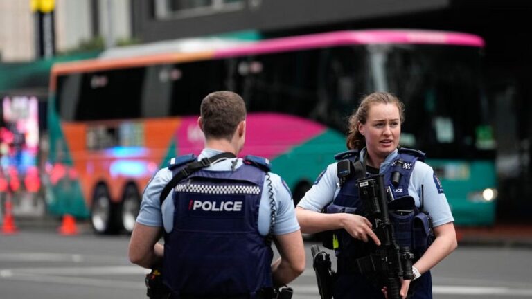 Nueva Zelanda: abrieron la bodega de un ómnibus y encontraron una nena viva en una valija