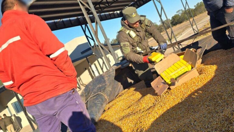 Un perro policía detectó 44 kilos de cocaína en un camión que se dirigía a Rosario