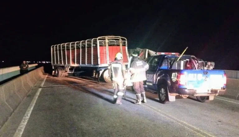 Accidente en el puente Rosario-Victoria: tres heridos, entre ellos una chica que fue embestida por un toro
