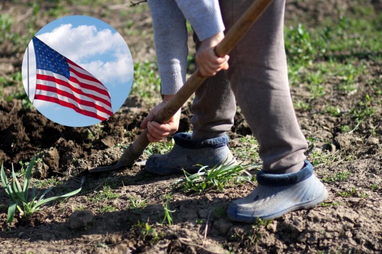 Labor Day 2025: las tiendas que cierran y abren el Día del Trabajo en EE.UU. en Arizona