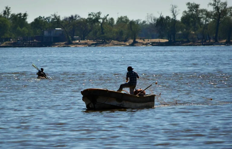 Cerca de la Constitución: en buenas aguas están navegando el derecho al agua, el saneamiento y los humedales