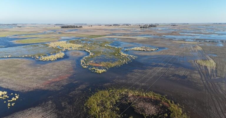 Se declaró la emergencia agropecuaria en distritos bonaerenses afectados por inundaciones