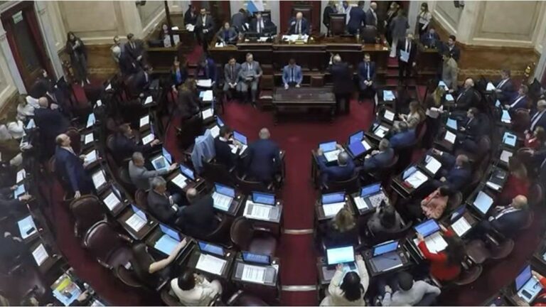 El Senado debate el veto a Discapacidad y la regulación de los DNU