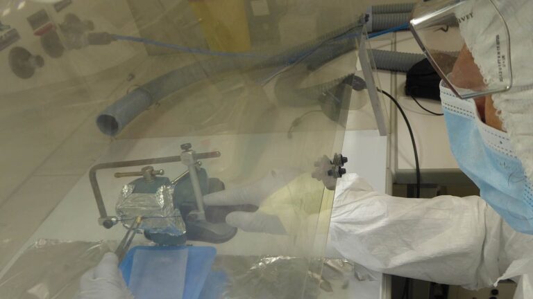 Hallazgo del Conicet: identifican un gen argentino con una antigüedad de 8.500 años