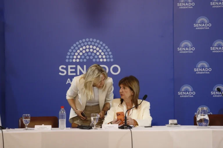 Senado: Patricia Bullrich abrochó las firmas para el dictamen de la reforma laboral de Milei