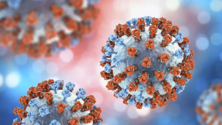 Alarma sanitaria en Sudamérica por la supergripe H3N2: Chile confirmó la variante y en Argentina se monitorea posibles casos