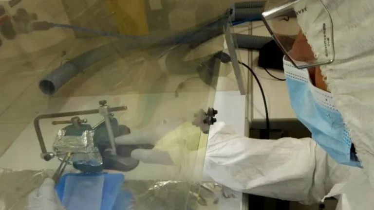 Digitalizaron cuadernos de investigación sobre enfermedades elaborados por el Conicet entre 1982 y 2002