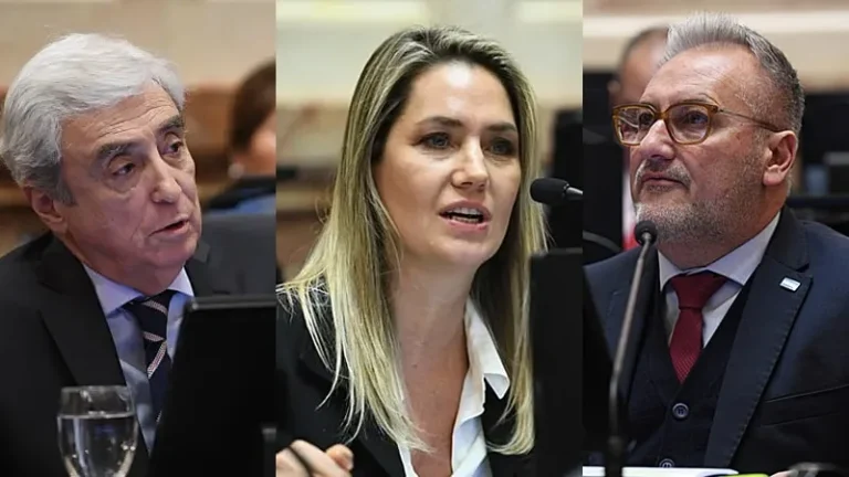 Cómo votaron los senadores por Santa Fe: fondos insuficientes para universidades y eliminación de mínimos para financiar educación y ciencia