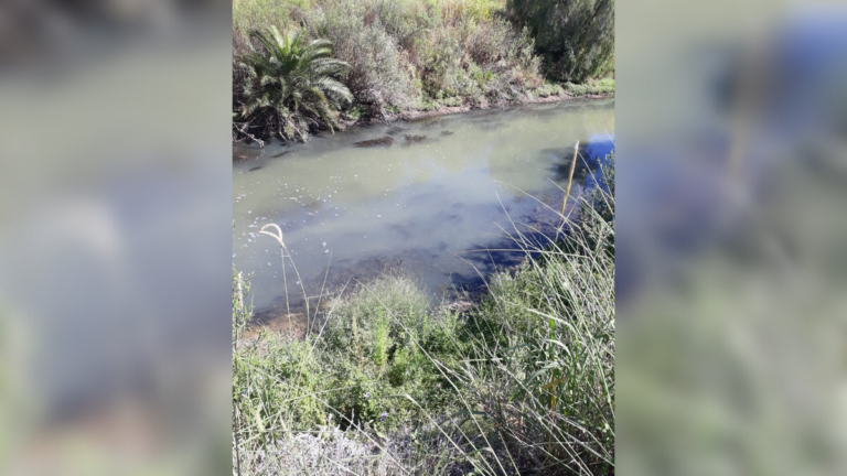 Otra vez el Ludueña contaminado: vecinos denuncian una mancha cloacal en pleno Fisherton