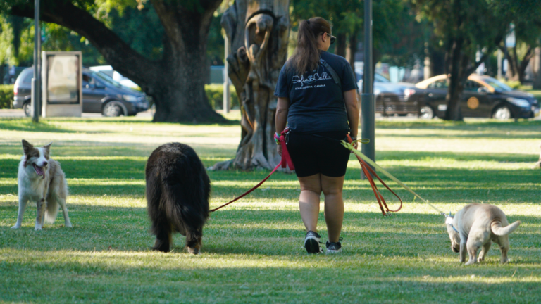 El tiempo en Rosario: empieza a apretar el calor y la máxima será de 32 grados