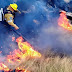 Intervienen el Parque Nacional Los Alerces por la emergencia ígnea