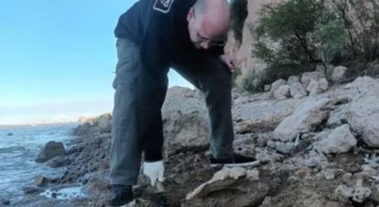 La Municipalidad de Puerto General San Martín ayudó a rescatar restos fósiles hallados en el Paraná